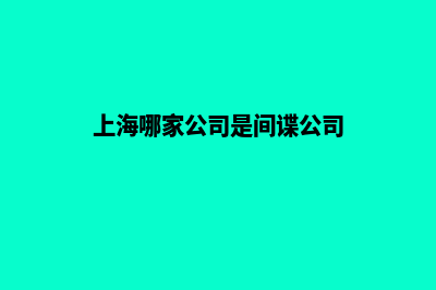 上海在哪家公司设计网站好(上海哪家公司生产光刻机)