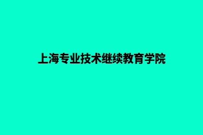 上海专业网页重做多少钱(上海专业技术继续教育学院)