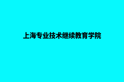 上海专业网站重做(上海专业技术继续教育学院)