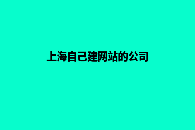 上海自己建网站的详细步骤(上海自己建网站的公司)