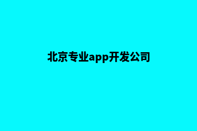 北京专业app开发(北京专业app开发公司)