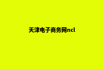 天津电商网站制作价格(天津电子商务网ncl)