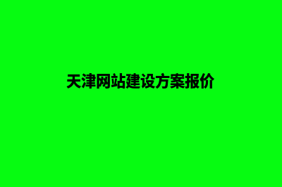 天津个人建网站流程(天津网站建设方案报价)