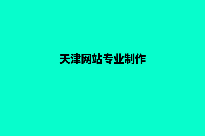 天津建网站专业公司(天津网站专业制作)