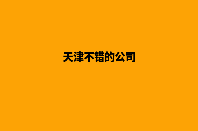 天津哪家公司做网站(天津不错的公司)