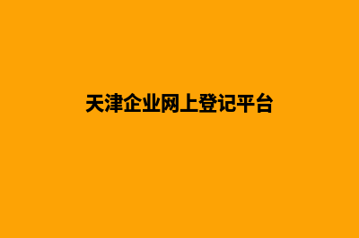 天津企业建网站流程(天津企业网上登记平台)