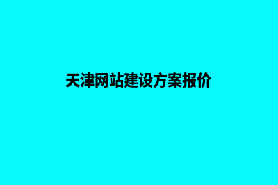 天津网站开发方案模板(天津网站建设方案报价)