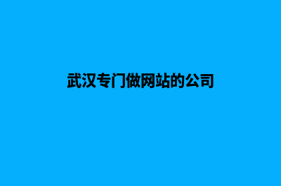 武汉公司网站搭建(武汉专门做网站的公司)