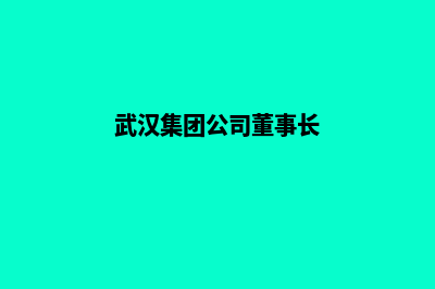 武汉集团网页改版(武汉集团公司董事长)