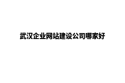 武汉建网站代理哪个(武汉企业网站建设公司哪家好)