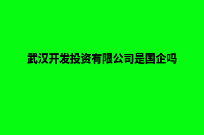 武汉开发企业网站多少钱(武汉开发投资有限公司是国企吗)