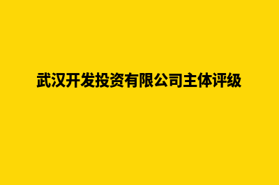 武汉开发企业网站流程(武汉开发投资有限公司主体评级)