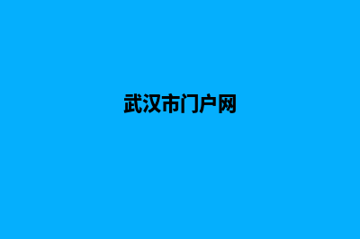 武汉门户网站设计流程(武汉市门户网)