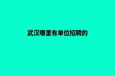 武汉哪里有单位网站制作(武汉哪里有单位招聘的)