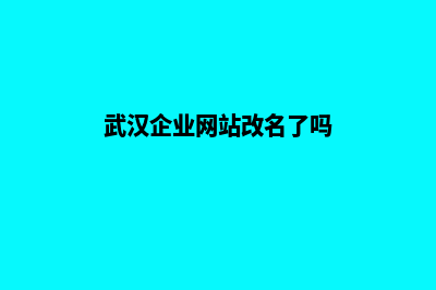 武汉企业网站改版(武汉企业网站改名了吗)