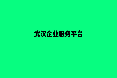 武汉企业网站开发要多少钱(武汉企业服务平台)