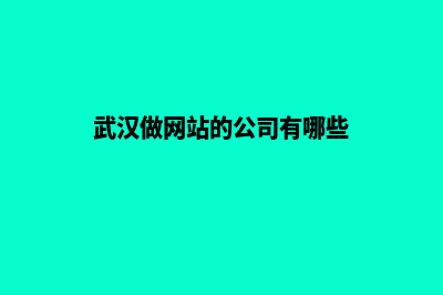 武汉新手建网站(武汉做网站的公司有哪些)