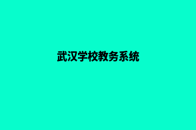 武汉学校网页制作方案(武汉学校教务系统)