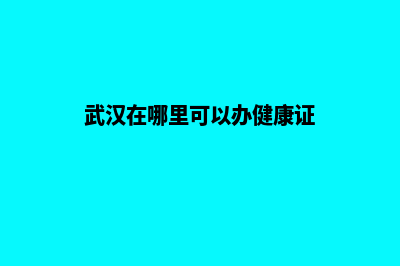 武汉在哪里可以做网站(武汉在哪里可以办健康证)