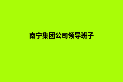 南宁集团网页重做(南宁集团公司领导班子)