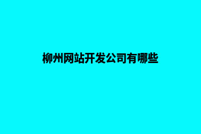 柳州网站开发公司推荐(柳州网站开发公司有哪些)