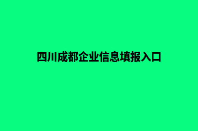 成都企业网页改版方案(四川成都企业信息填报入口)