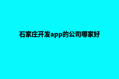 石家庄app制作公司(石家庄开发app的公司哪家好)