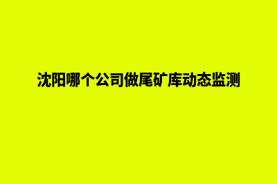 沈阳哪个公司做网页重做好(沈阳哪个公司做尾矿库动态监测)