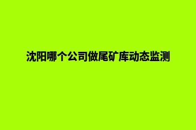 沈阳哪个公司做网站重做好(沈阳哪个公司做尾矿库动态监测)