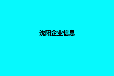 沈阳企业网站重做方案(沈阳企业信息)