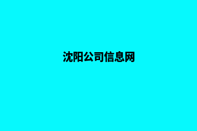 沈阳公司网站重做(沈阳公司信息网)