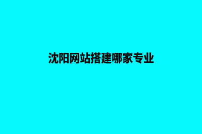 沈阳网站搭建公司报价(沈阳网站搭建哪家专业)