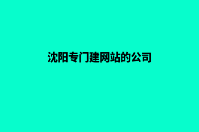 沈阳个人建网站费用(沈阳专门建网站的公司)