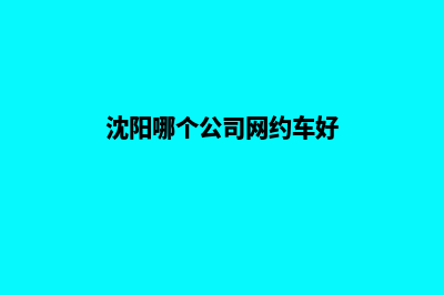 沈阳哪个公司网页制作口碑好(沈阳哪个公司网约车好)