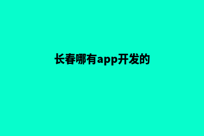 长春哪有app开发(长春哪有app开发的)