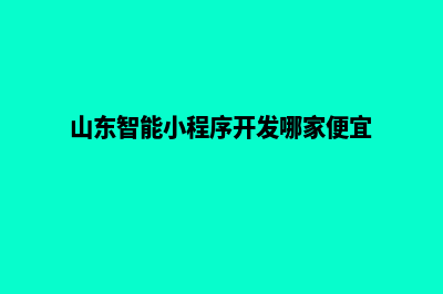 青岛小程序定制商家(山东智能小程序开发哪家便宜)