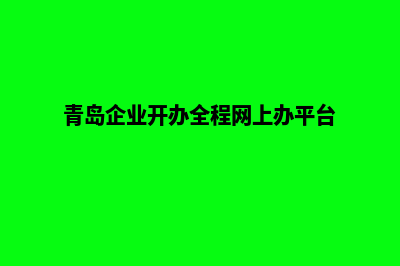 青岛企业网站开发公司哪家好(青岛企业开办全程网上办平台)