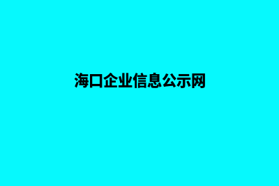 海口企业网站定制(海口企业信息公示网)