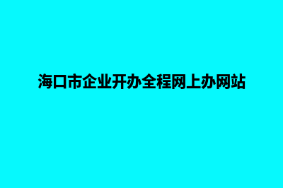 海口企业建网站一般要多少钱(海口市企业开办全程网上办网站)