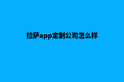 拉萨app定制公司(拉萨app定制公司怎么样)