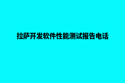 拉萨便宜app开发公司(拉萨开发软件性能测试报告电话)