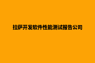 拉萨企业app开发(拉萨开发软件性能测试报告公司)