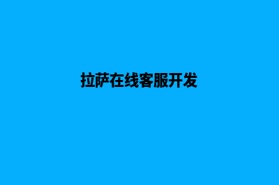 拉萨app开发公司(拉萨在线客服开发)