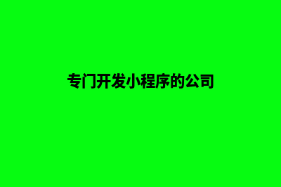 拉萨小程序开发方案(专门开发小程序的公司)