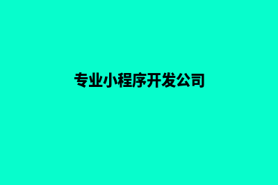 拉萨小程序开发企业(专业小程序开发公司)