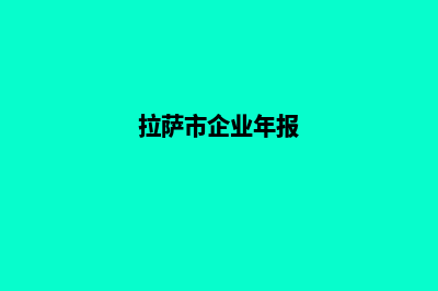 拉萨企业网站定制多少钱(拉萨市企业年报)