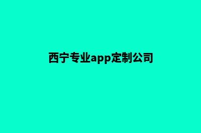 西宁专业app定制(西宁专业app定制公司)