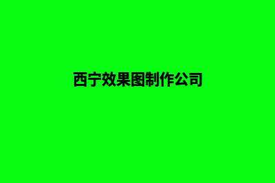 西宁app定制搭建(西宁效果图制作公司)