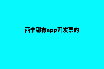 西宁哪有app开发(西宁哪有app开发票的)