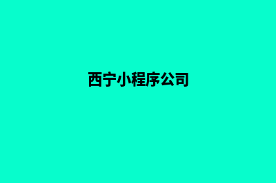 西宁便宜小程序定制(西宁小程序公司)